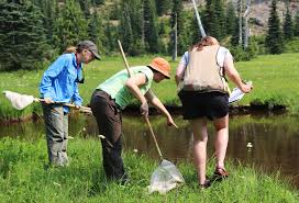 Citizen Science